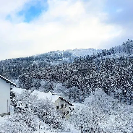 Ferienhaus Waldblick Willingen (Upland)